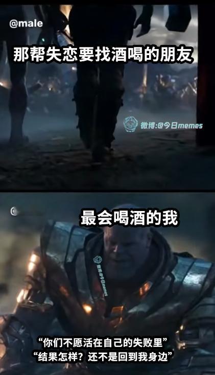 来吧今日meme 今日memes