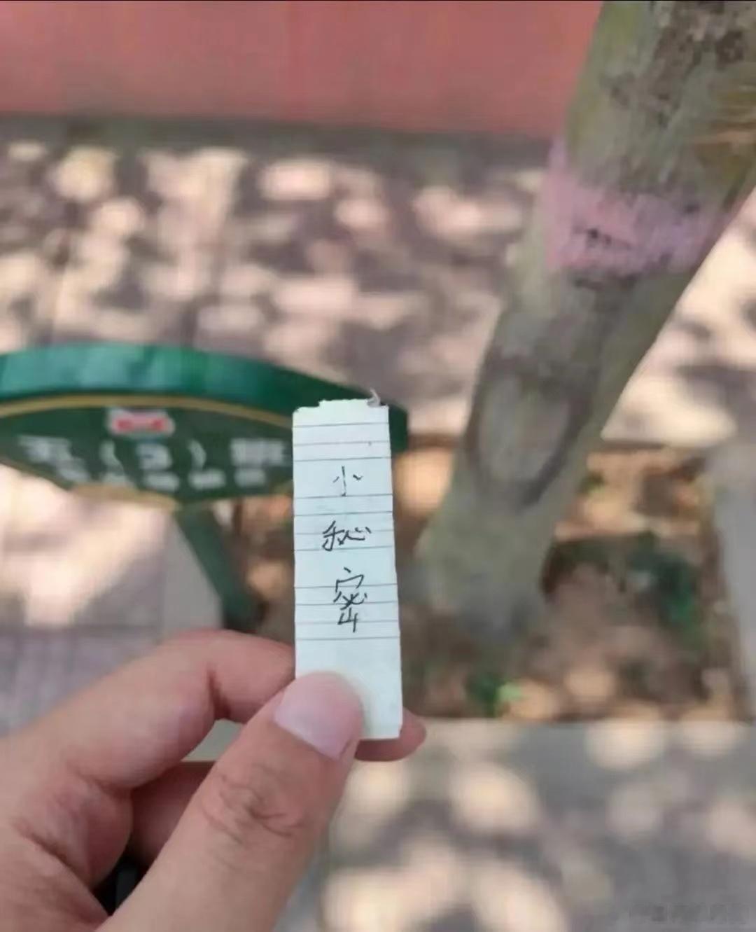 接表弟放学回家，在学校门口捡到个小秘密 ​​​