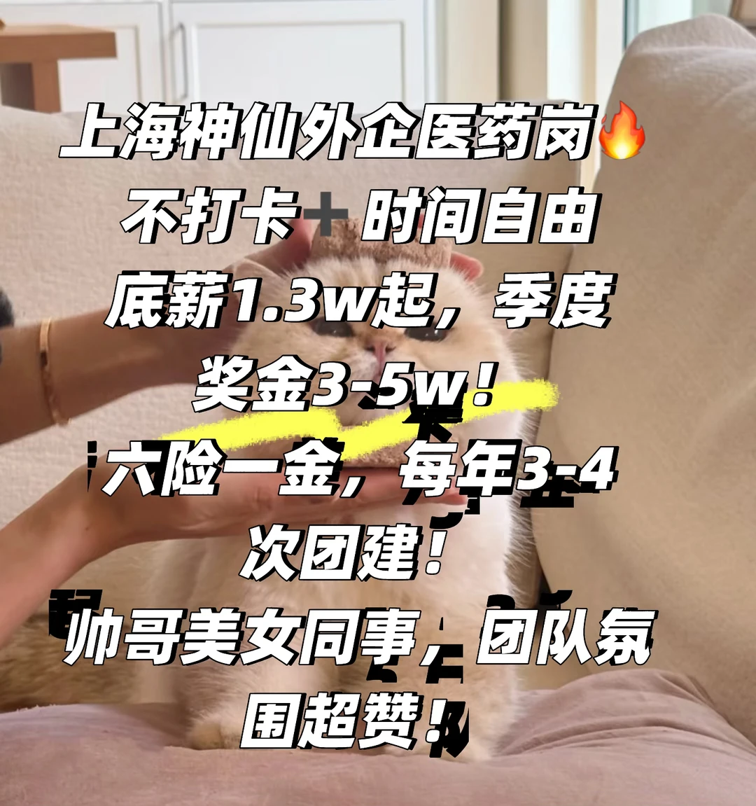 神仙外企医药岗｜底薪1.3w起，季度奖金3-