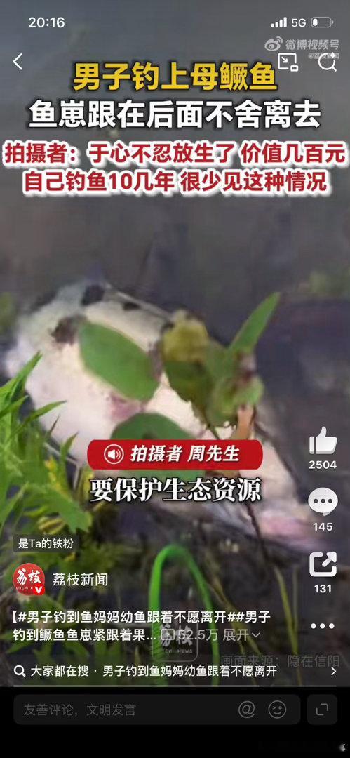 男子钓到鱼妈妈幼鱼跟着不愿离开“钓了十几年鱼，见过几百斤大鱼，却第一次见幼鱼追着