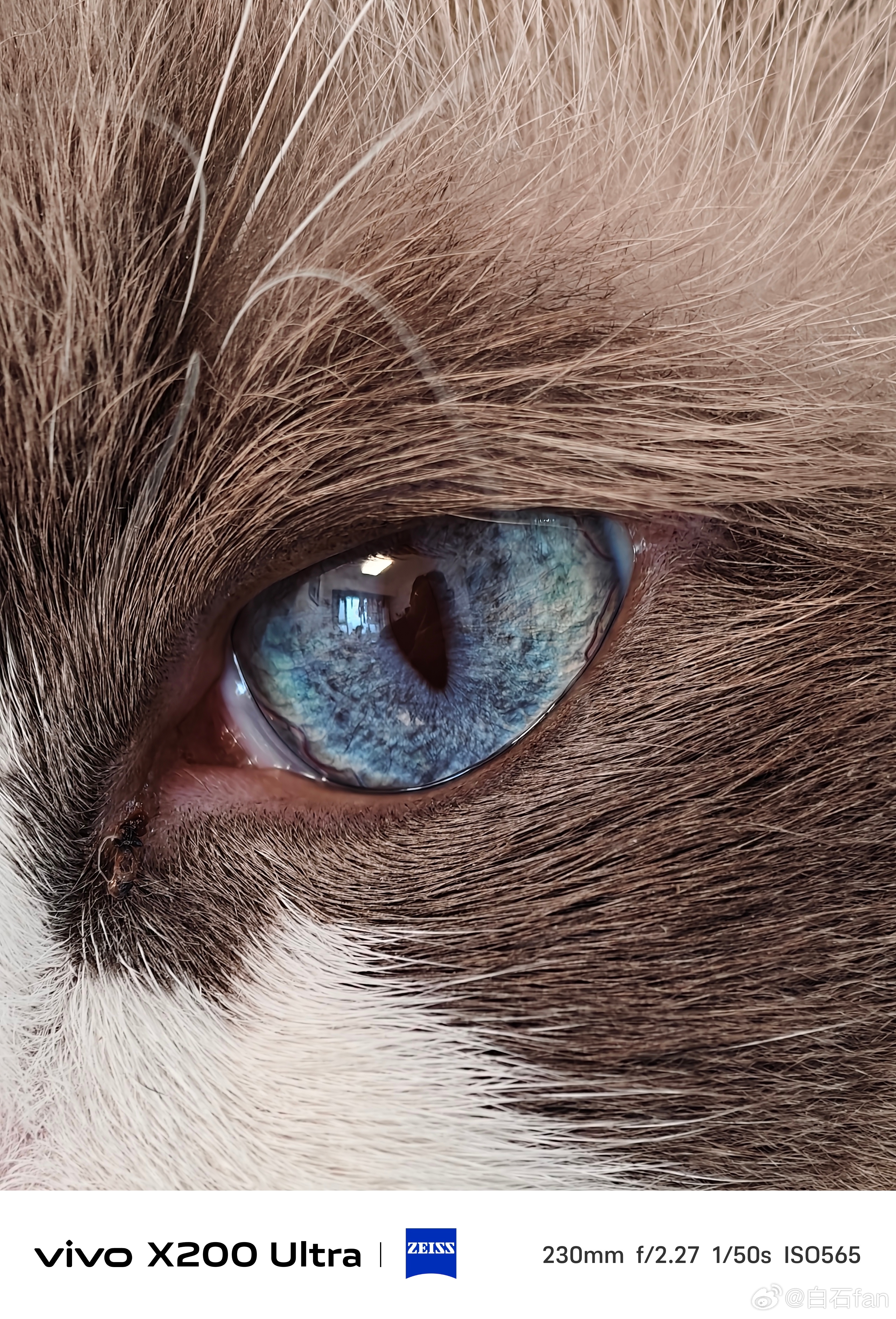 这个细节表现力，太强了知道我为何如此期待vivo X300 Ultra了吧 