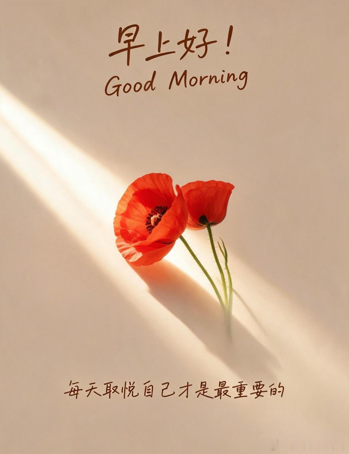 早安朋友们 终于睡饱了一次 昨天9点多睡到7点闹钟响 