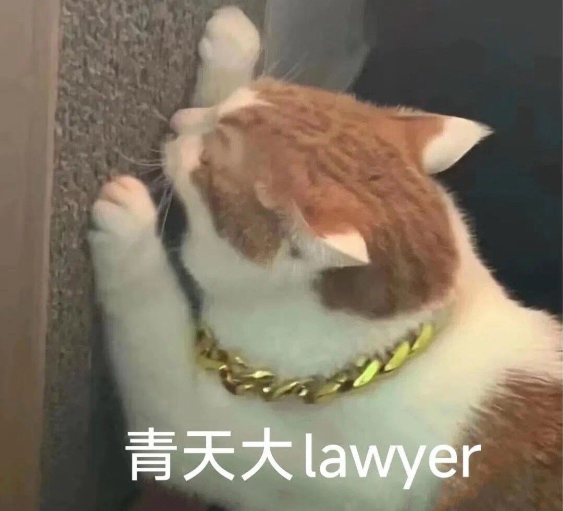 讨饭的时候大谈女性互助厌女的时候《梦华录》女主为什么不睡男人，《玫瑰的故事》为什