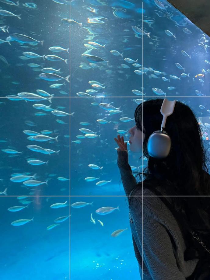 海洋馆拍照构图码住📷 ​​​🐬包出片的！！！ ​​​