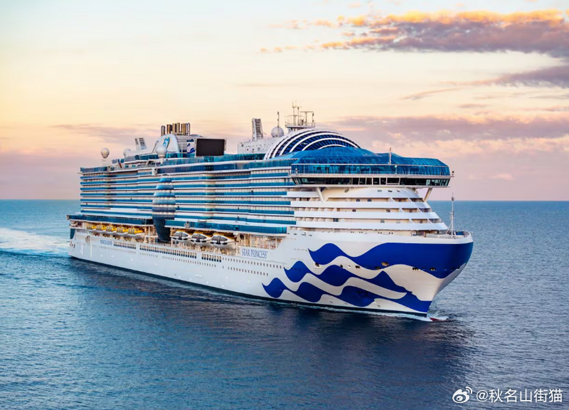 惨！“星辰公主号”加勒比海航行爆发诺罗病毒 已有153人感染海外新鲜事 美国疾病