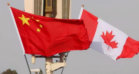 “不卖中国，还不能卖别人？全世界就中国吃菜籽油？”中国官宣对加拿大油菜籽和猪肉，