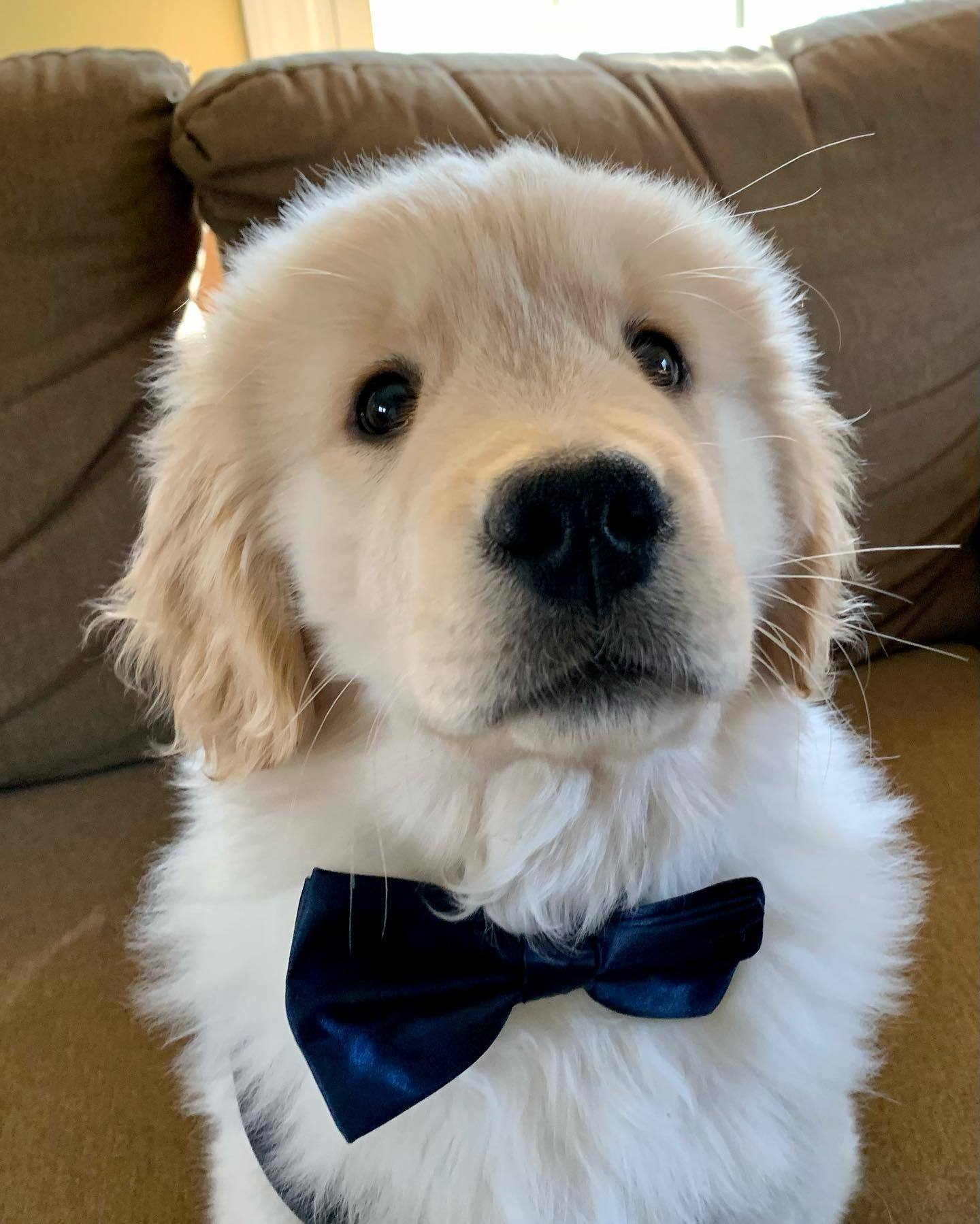 你好，我是本餐厅的经理，有什么不满意的您都可以跟我提，我不一定听 ​​​