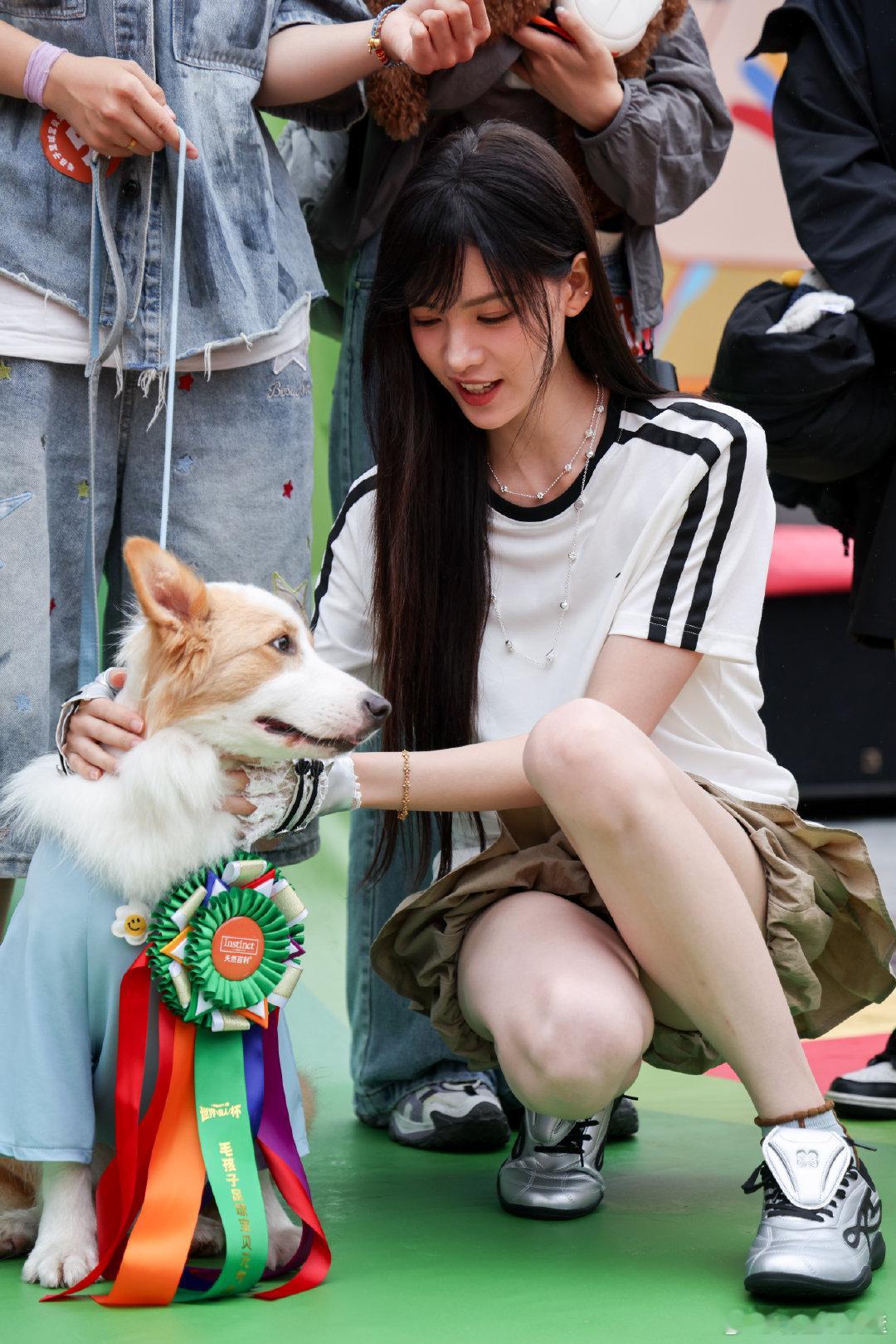 张艺上与毛孩子温柔同框 毛孩子们负责卖萌，负责被扑倒，每当它们带球跑回她身边，她