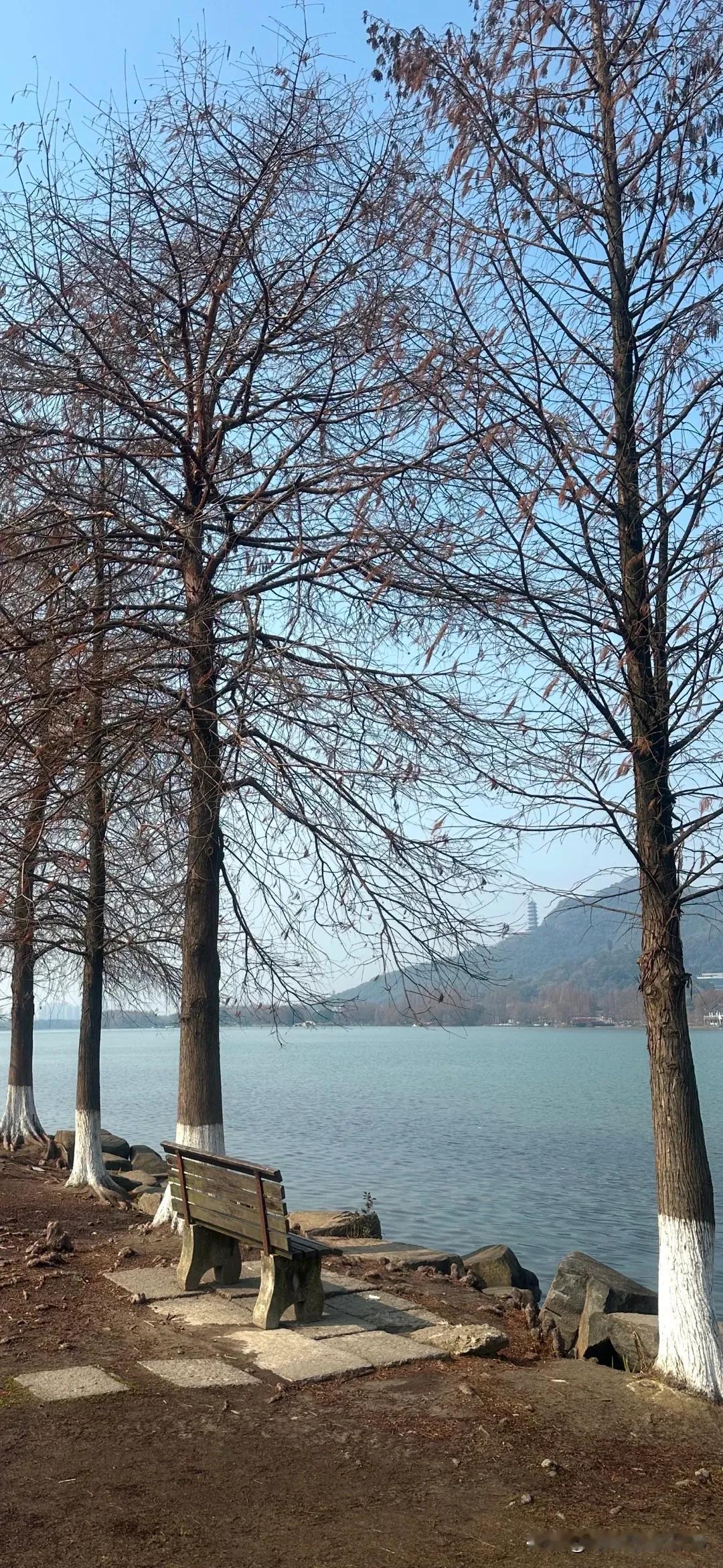 早春二月
湘湖湖山广场

青山如黛
绿水微澜
阳光普照大地
生命在萌动、复苏
