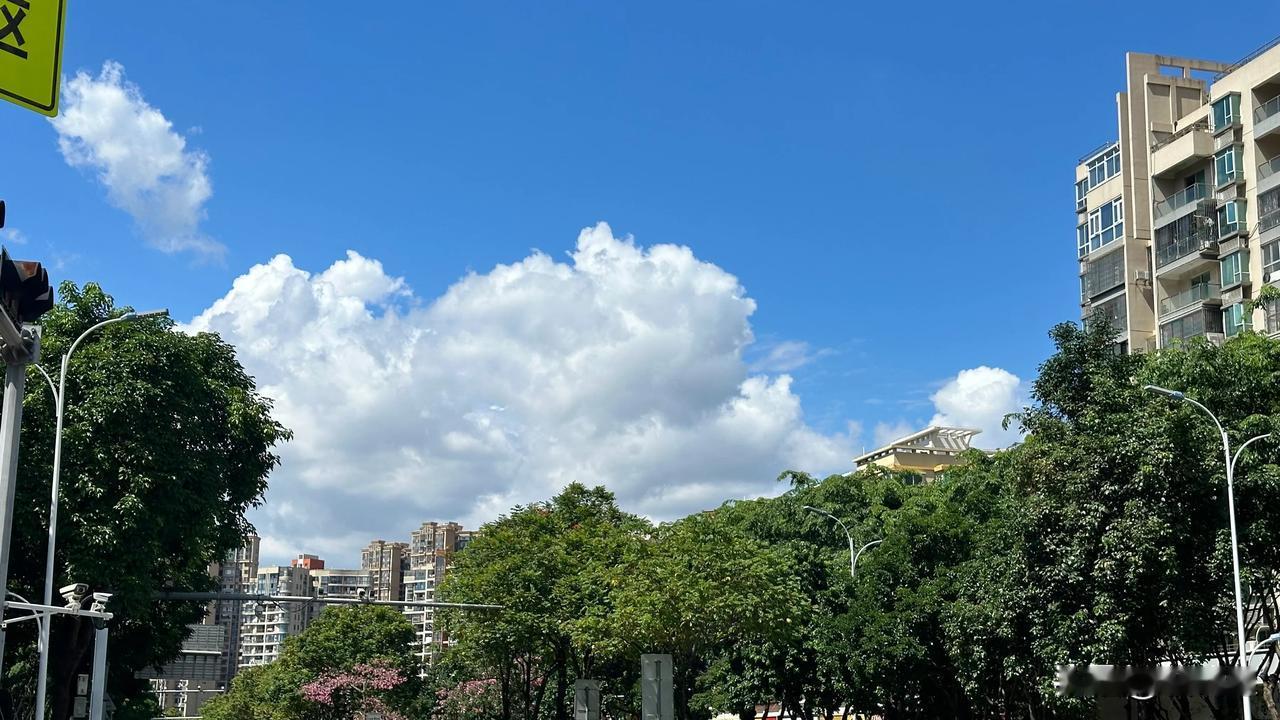 今天的行情估计很多人又没有料到，我也一样，我想到可能会低开，因为昨晚美股那边那斯