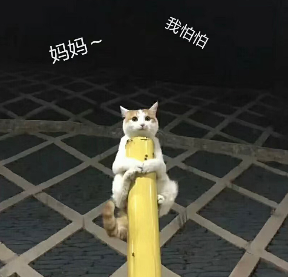 一波可爱表情包 ​​​