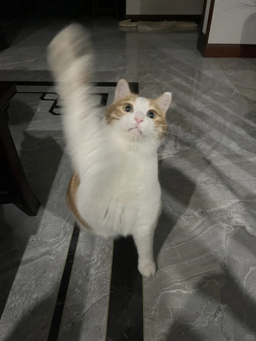 啊哒！