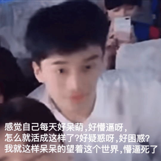 已经开始期待831了
