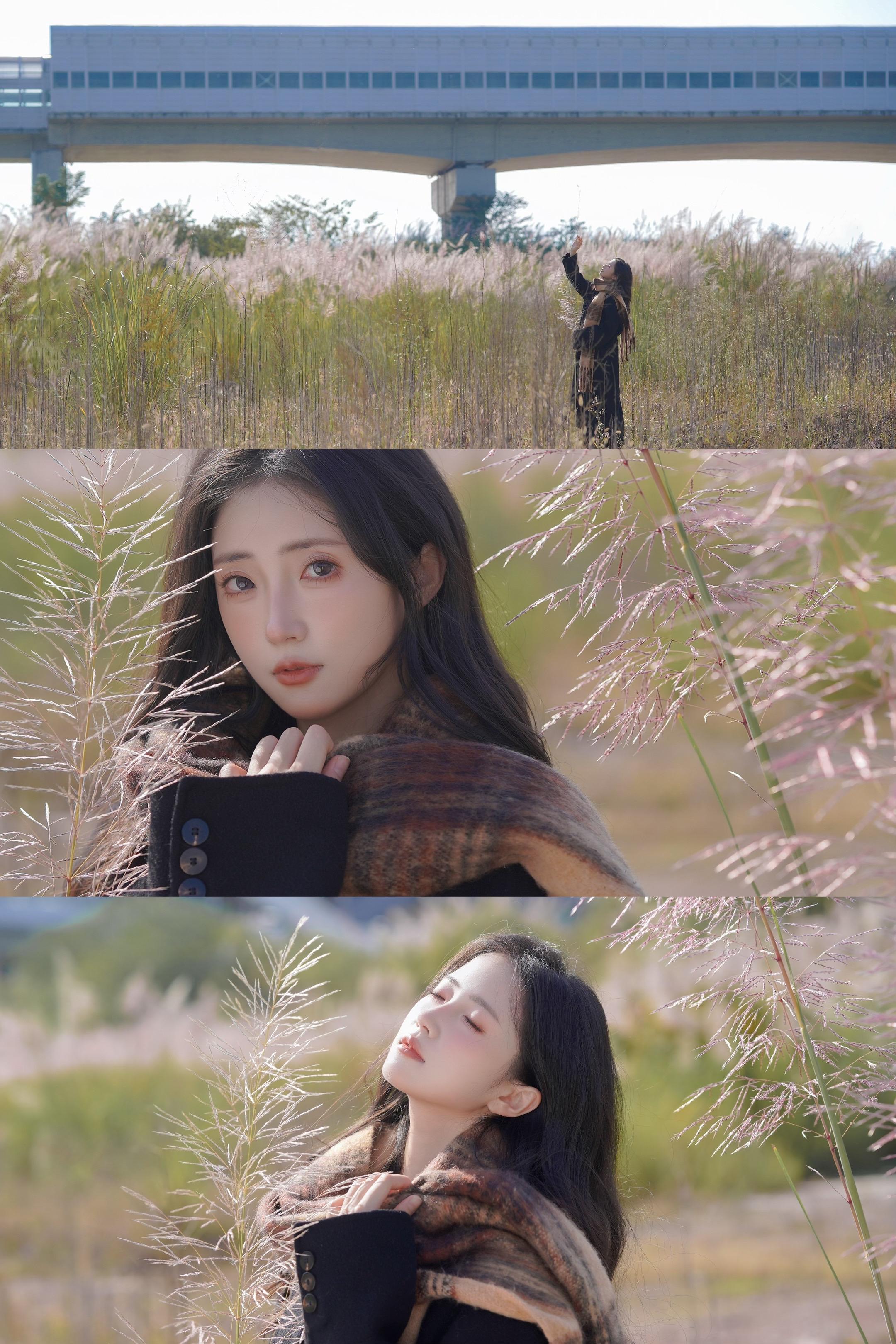 人间忽晚，山河已秋。