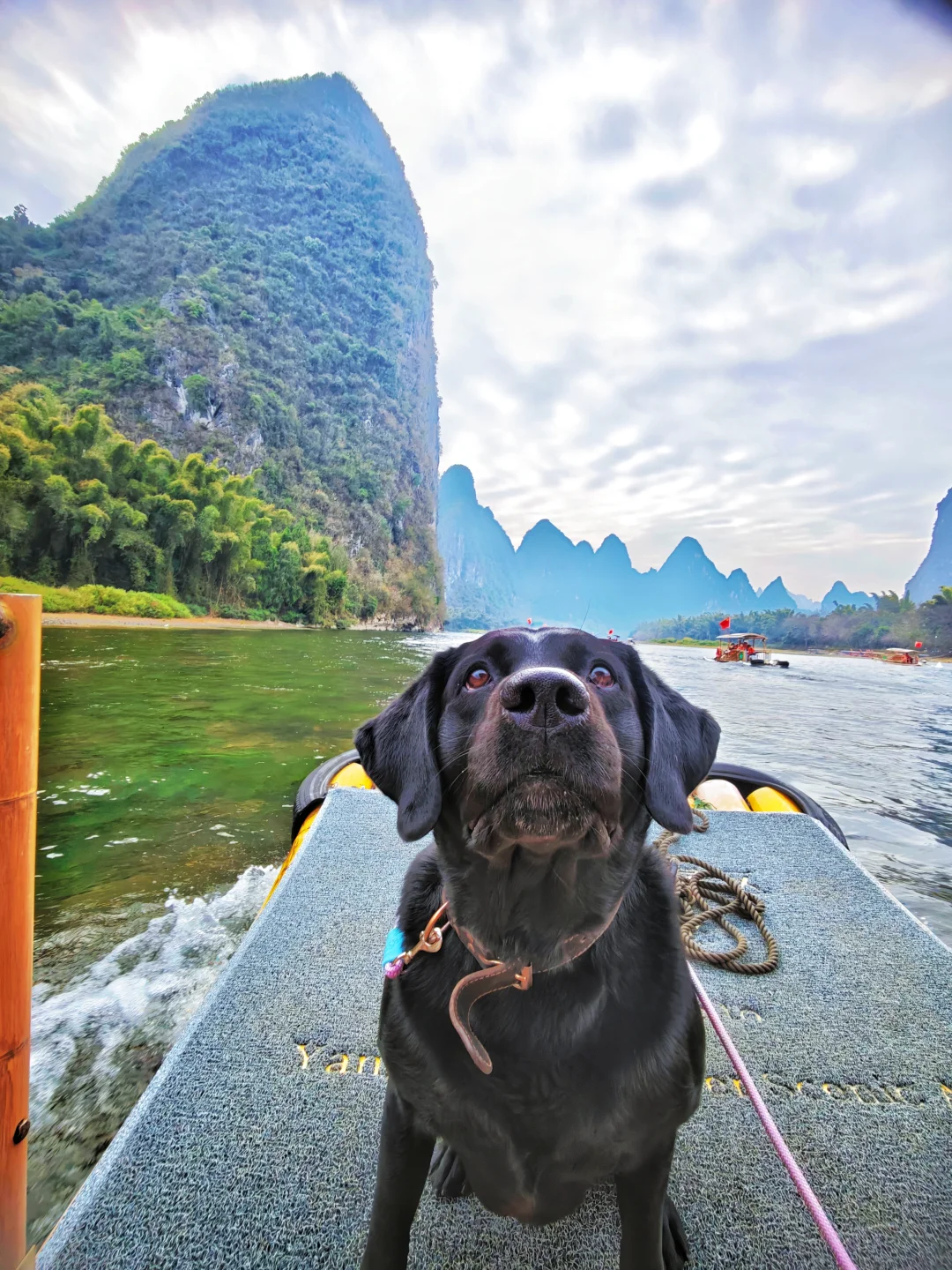 油漓江的小黑～