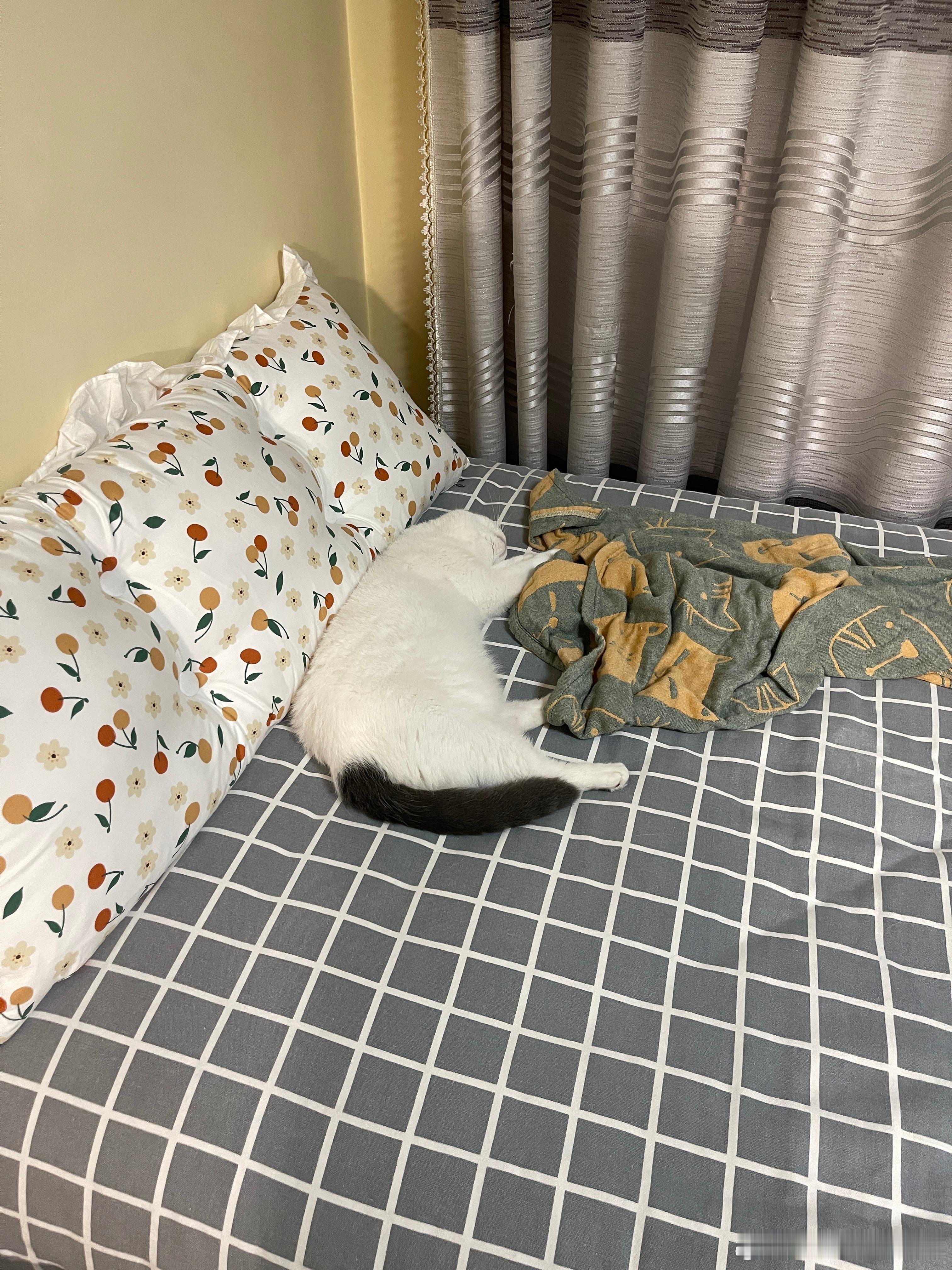 这是什么呀 ​​​