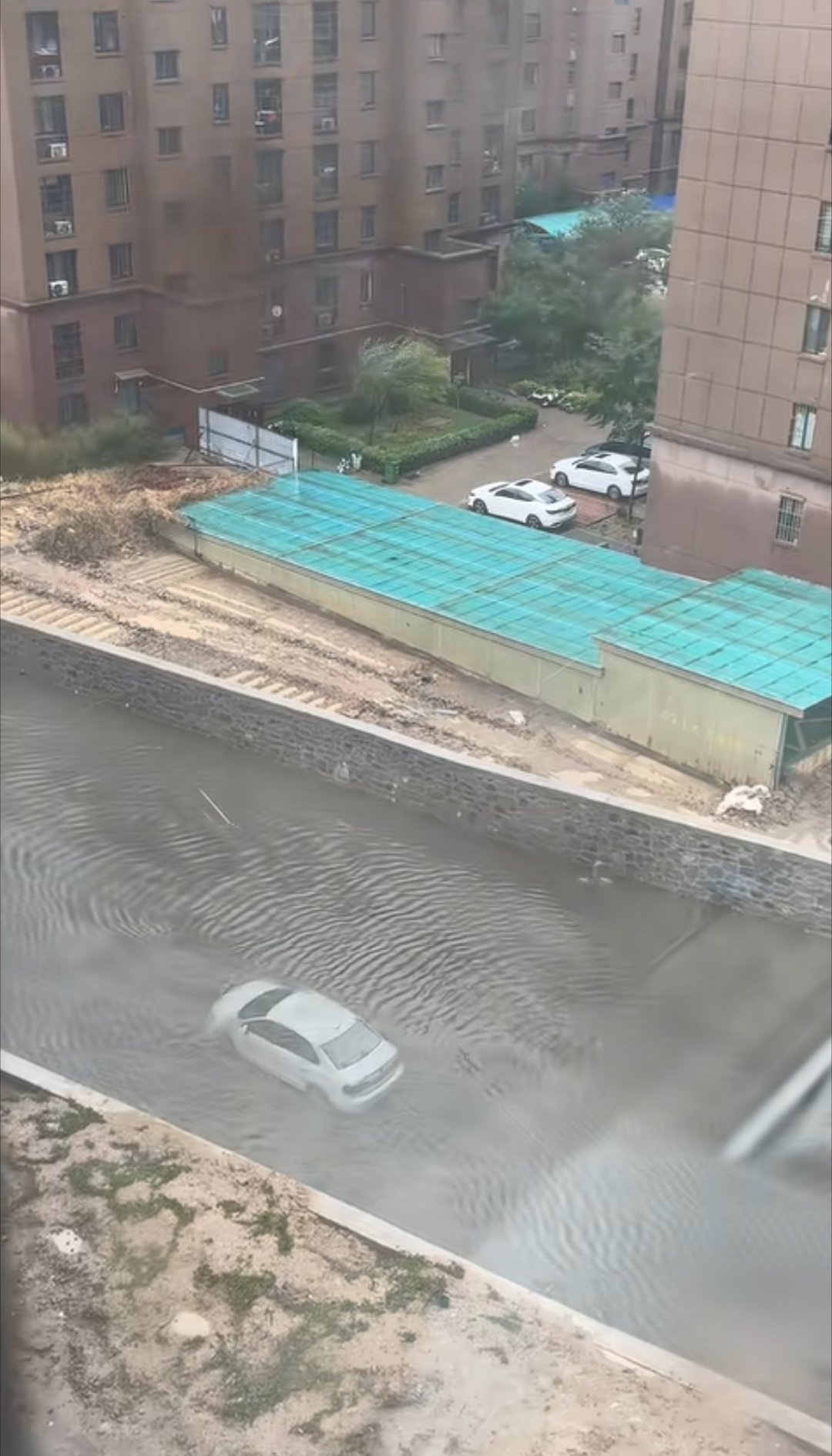 车船税没白交 ​​​