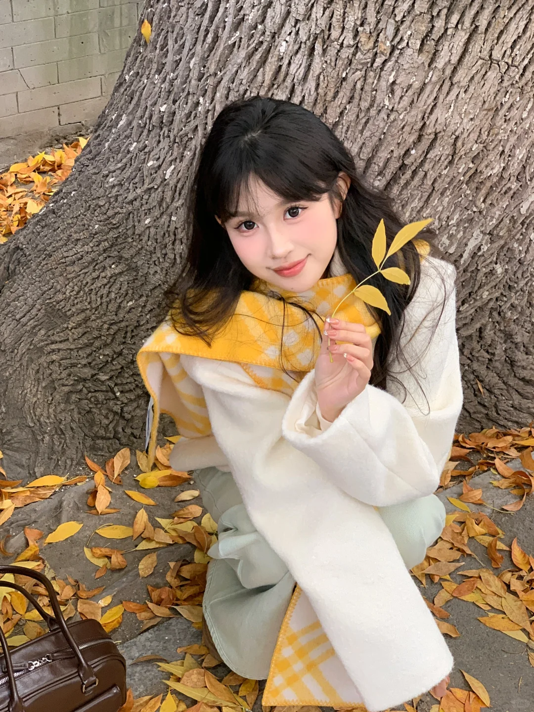 下次试试蹲着和落叶拍照吧!!