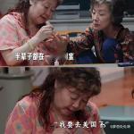 魔方小姐把小姐还给小姐 淑珍始终理解尊重好友的所有选择，默默分担对方训练路上的疲
