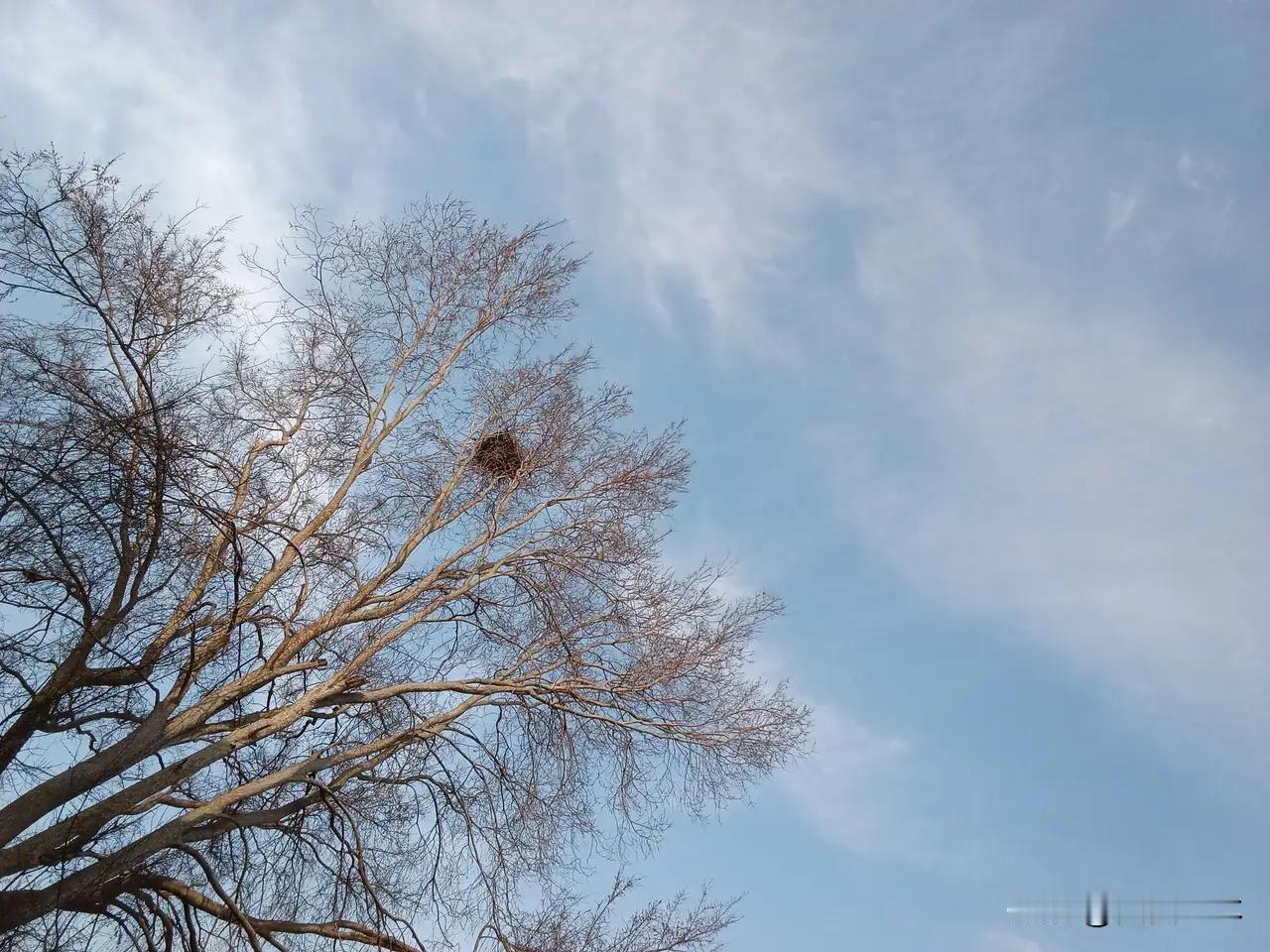 婚姻到底带来了什么？有人说是幸福，有人说是责任，也有人在深夜里偷偷问自己：我到底