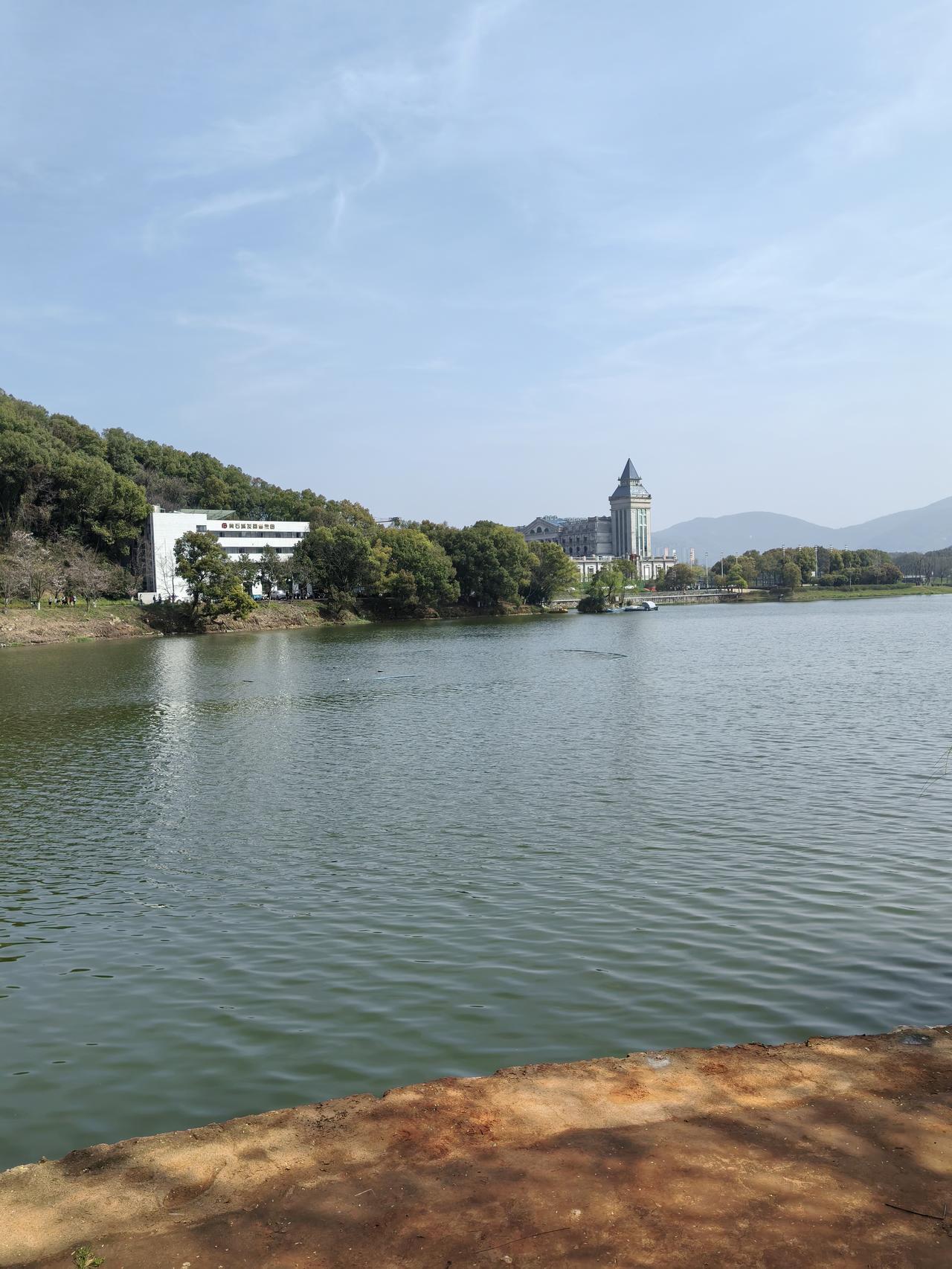 春日生活打卡季 春日真是个让人幸福感爆棚的季节！这几天我去公园打卡，满眼都是盛开