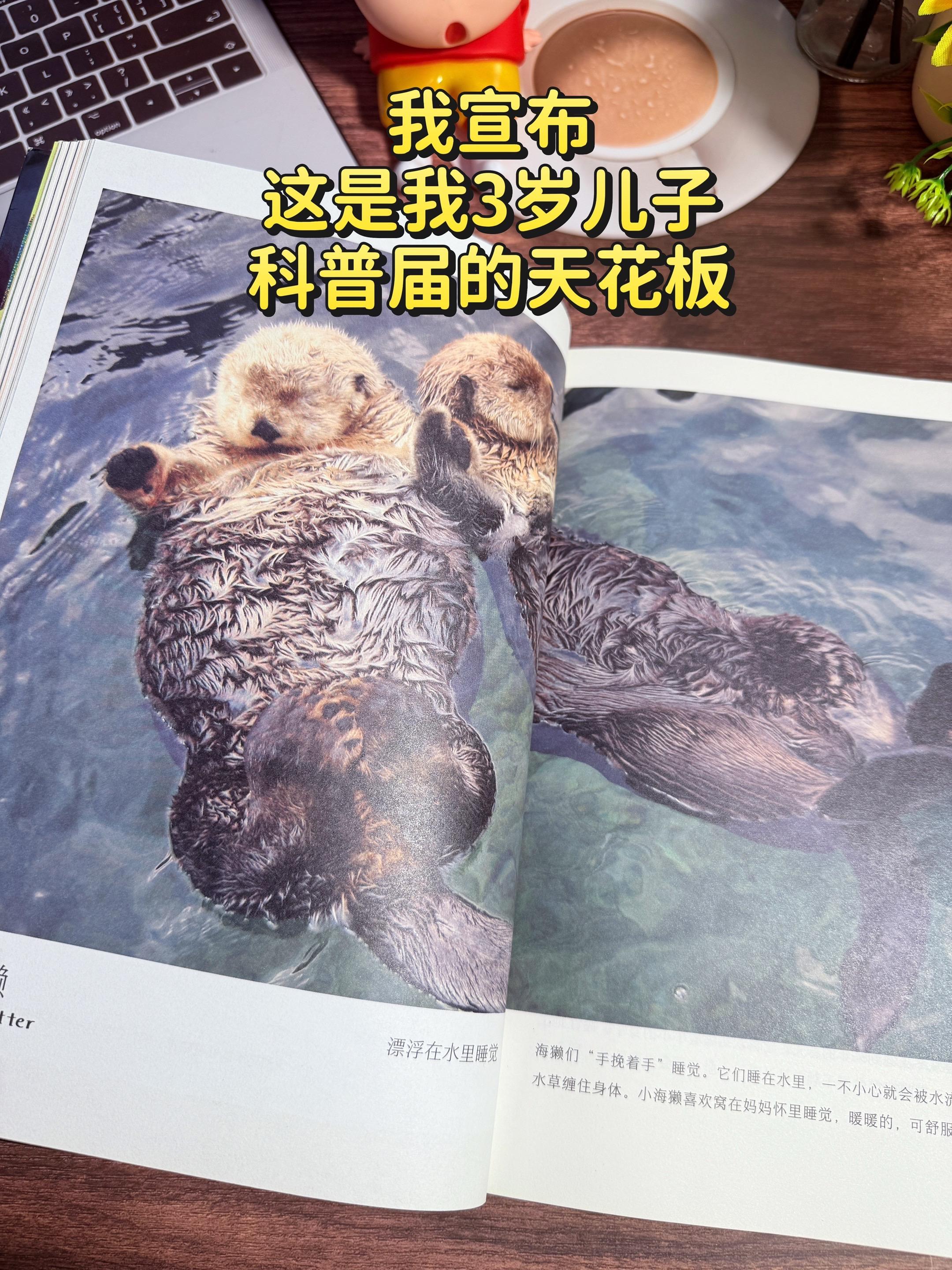 哇！3岁就能看的自然科普界！🔥。高清大图实拍，视觉冲击力堪比纪录片感...