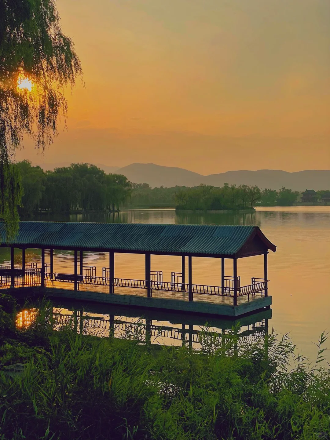 颐和园的夏天真的美成一幅画🏖暑期游玩攻略