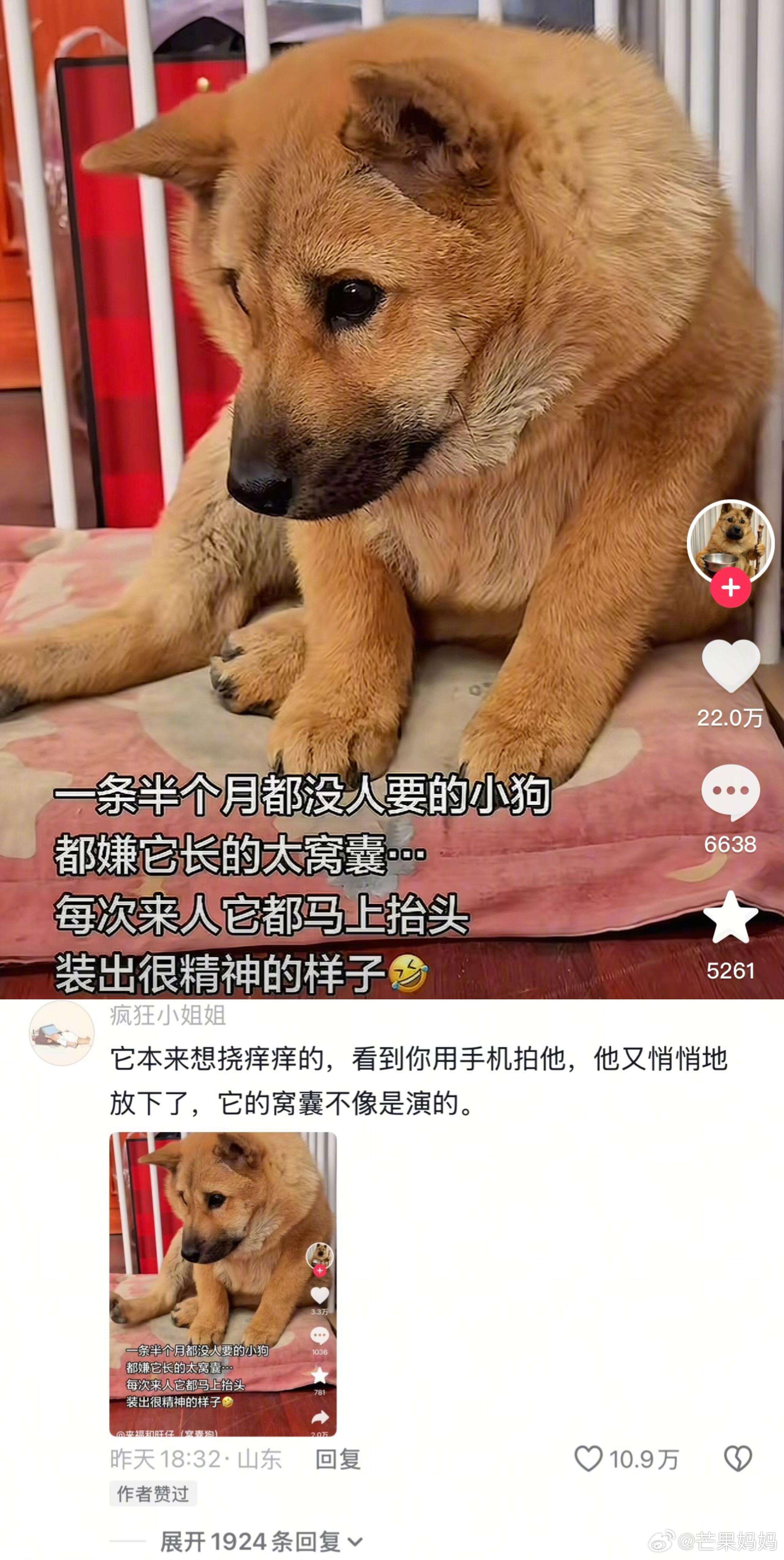 这就是i人装e的样子吗… 