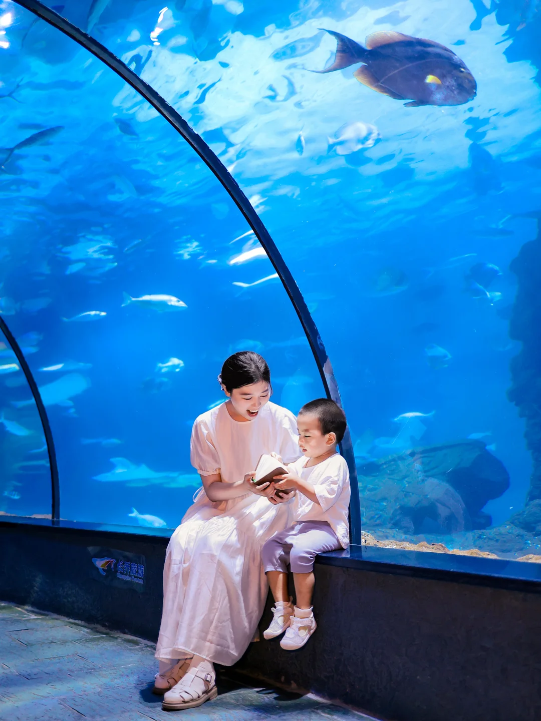 杭州海洋馆这8个机位无敌了❗️超级出片