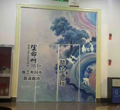 国家自然博物馆布展开始准备生命树了，俺们树树就是这么争气