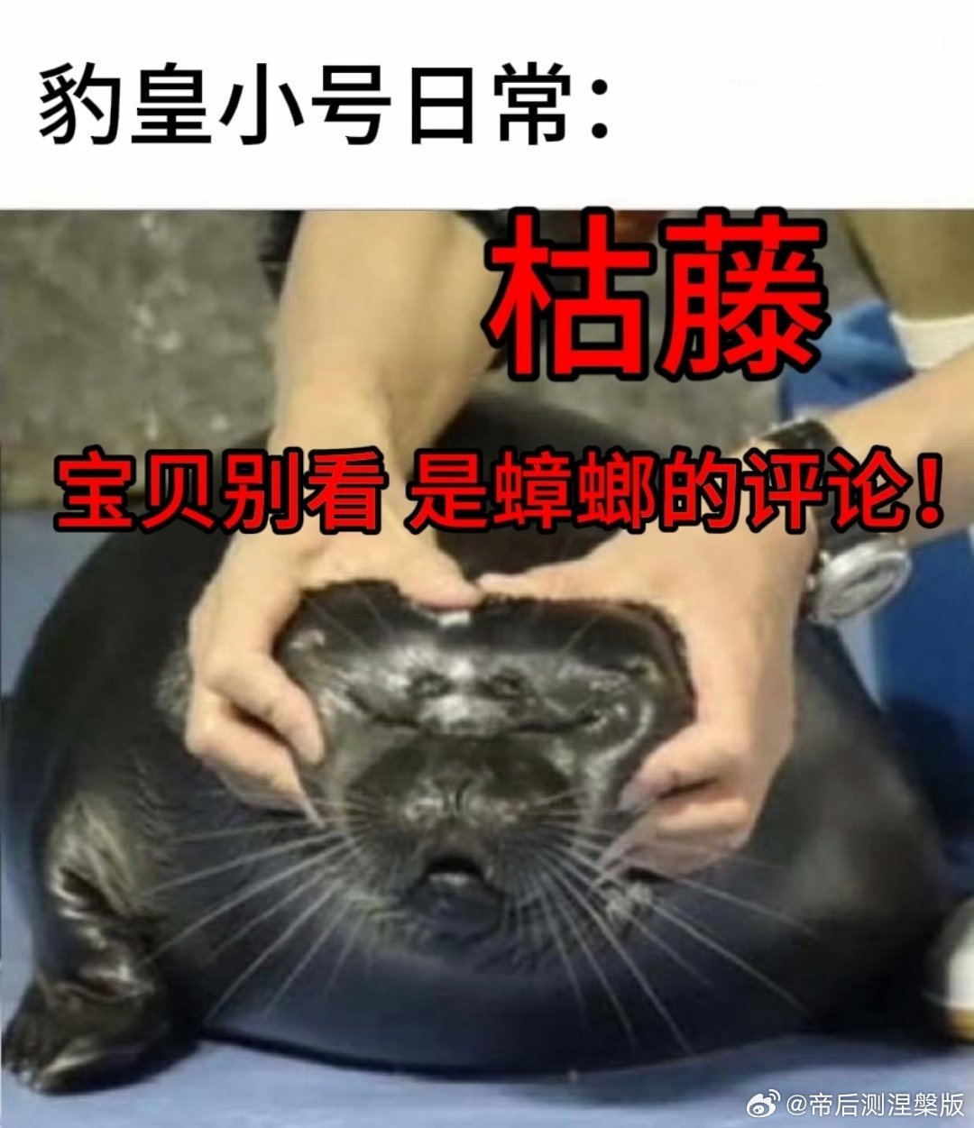 【投】29297有感： 