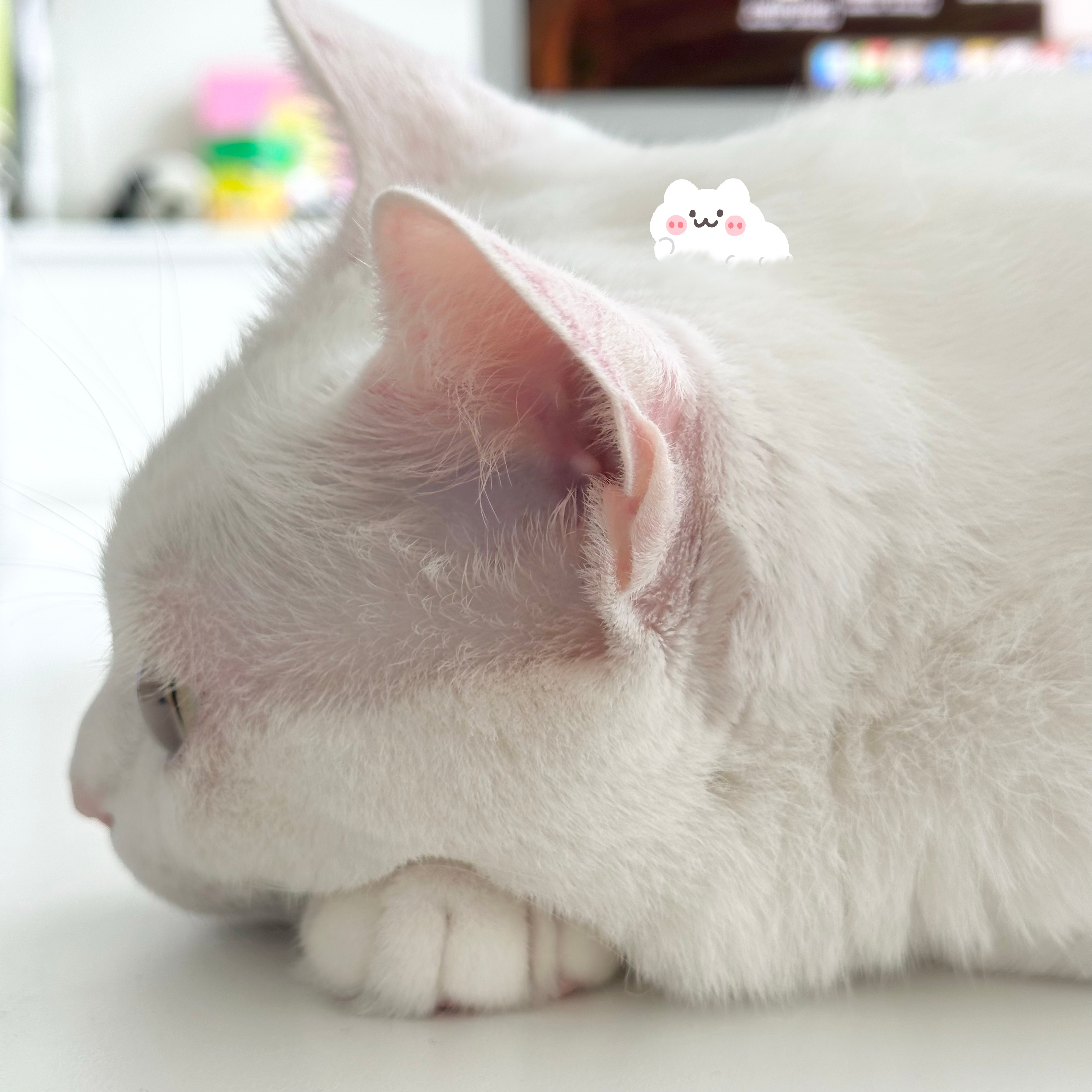 [好运连连] ​​​