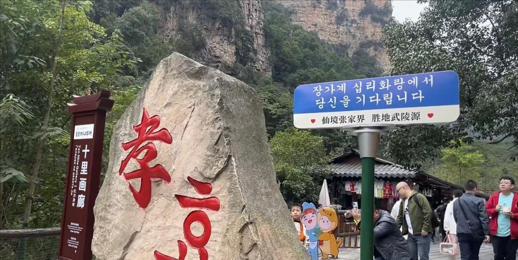 韩国人到底有多爱张家界？这么说吧，在韩国旅游圈，张家界几乎被捧成了“尽孝圣地”。