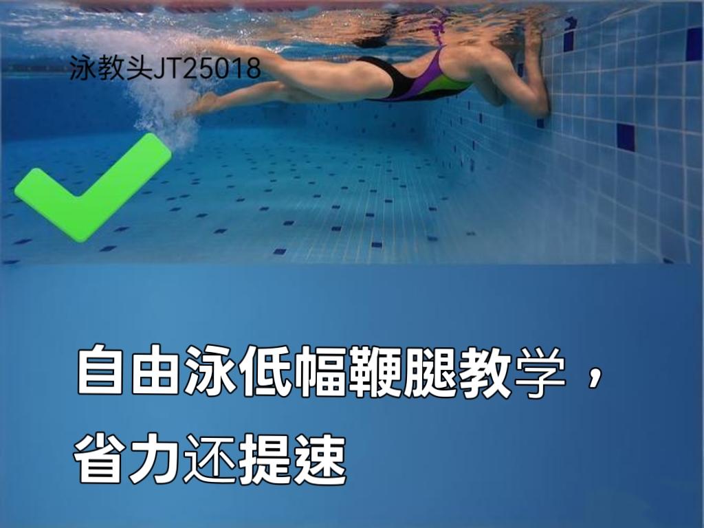 泳教头 | 泳讲堂：自由泳低幅鞭腿教学，省力还提速
 
不少泳友游自由泳时，习惯