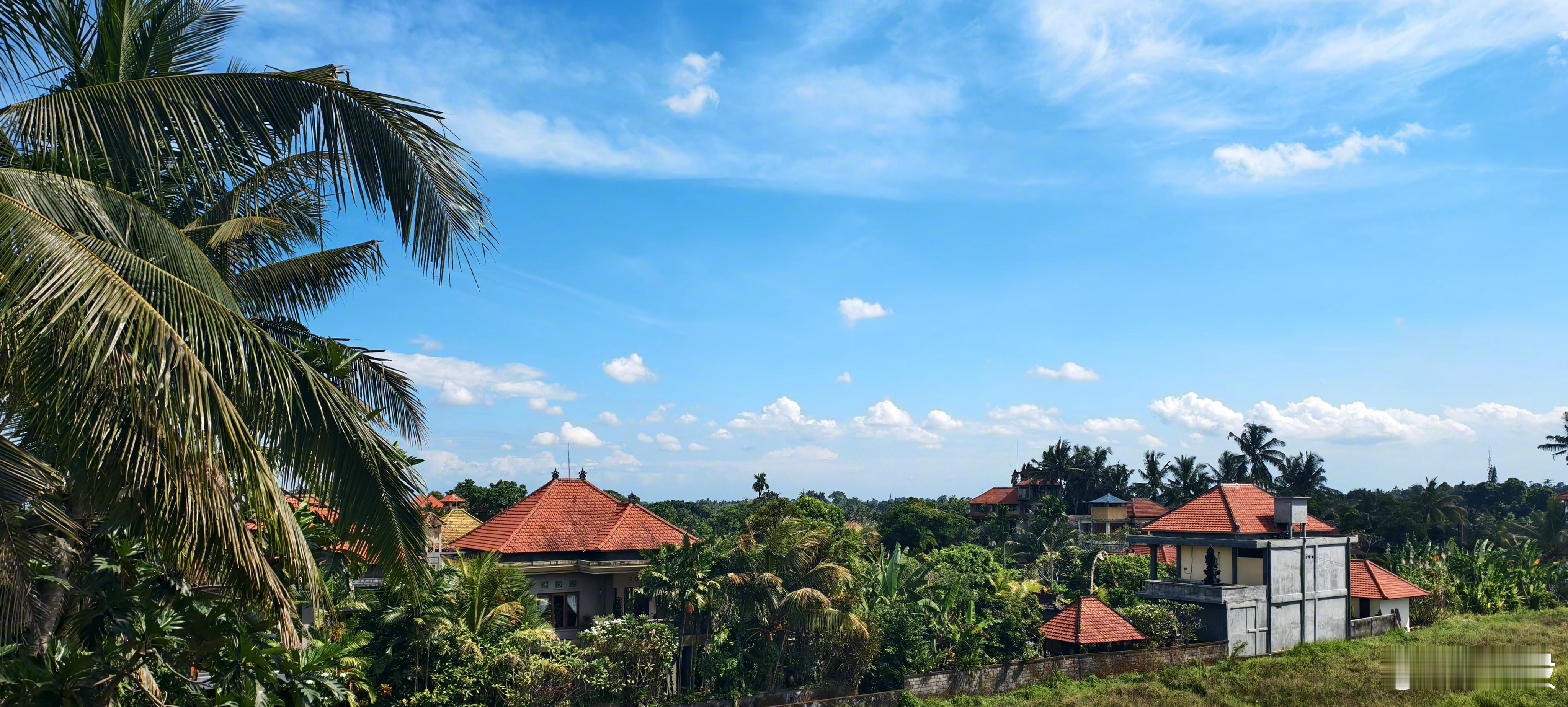巴厘岛，可真行。一百块出头，又给我住进闹市僻静，超大平层，云荡风摇，椰林稻影。 
