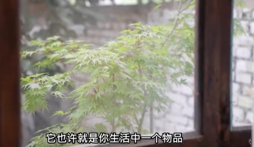 #秦岭脚下的村咖画室好city#这个生活真的好惬意呀，这也太有创意了吧，培养孩子