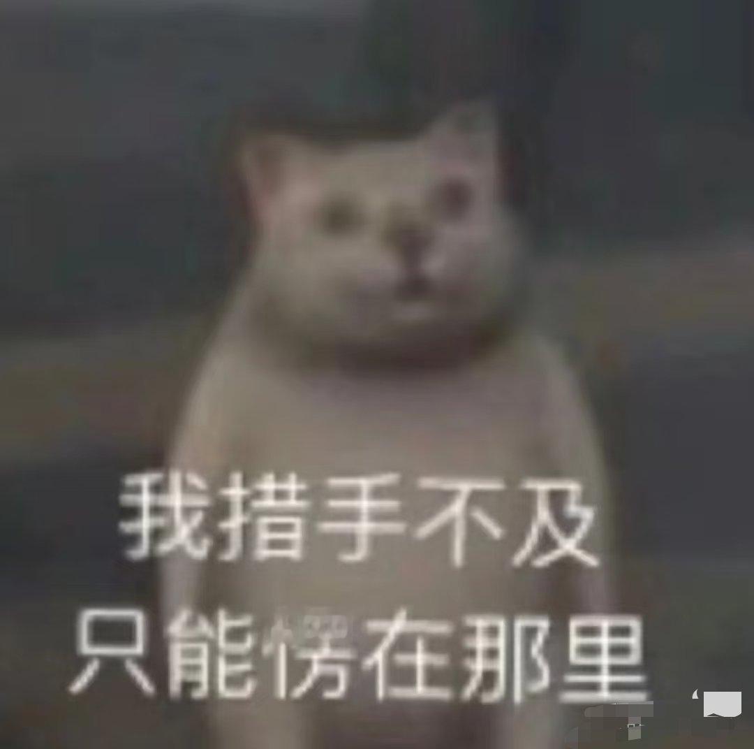 朋友圈先私密几天再公开现在朋友圈全是广告，自己几乎不发，更加不看朋友圈