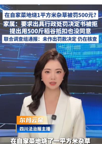 “离大谱！”河南固始，女子因患恶性肿瘤，在家养病，为了节省开支，便种了菜自给自足