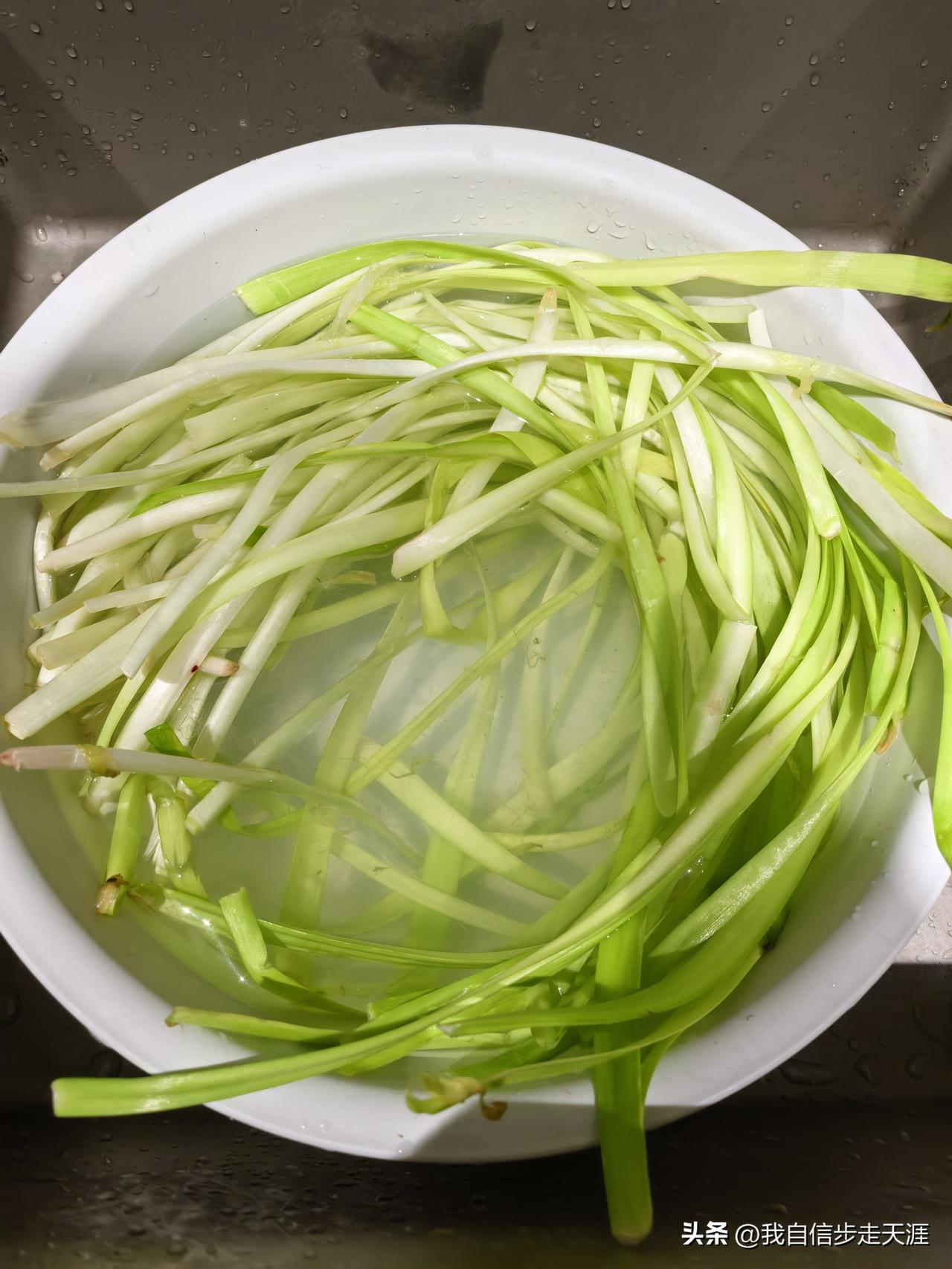 差点就犯了个错误，丢掉了一把好菜！

亲家母今天来做客，顺便买了一把韭黄，看着挺