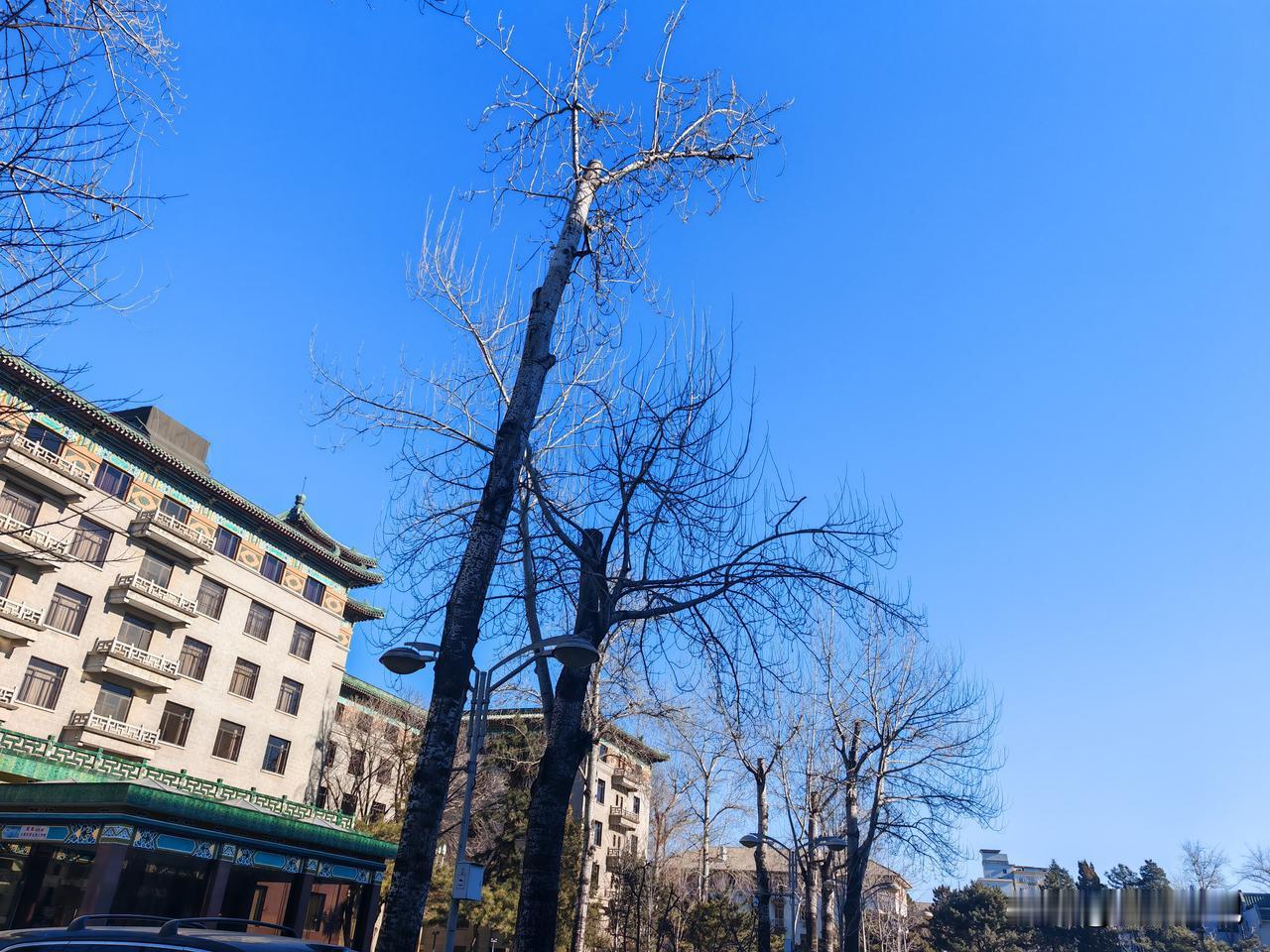 分享一张有关天空的照片蓝蓝的天空