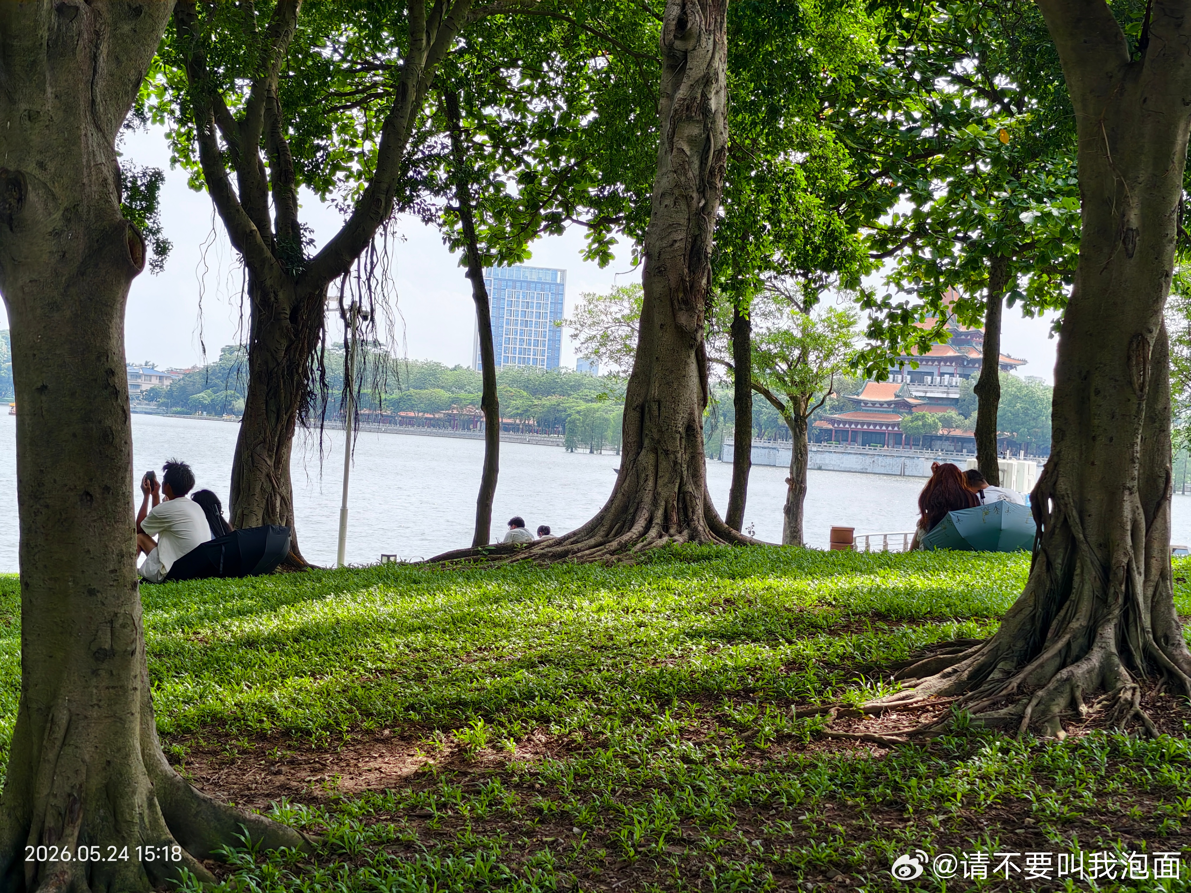 晴日里的湖边，单车与树荫作伴，风把野餐垫上的笑声吹得很远。慢下来，在水色与绿意里