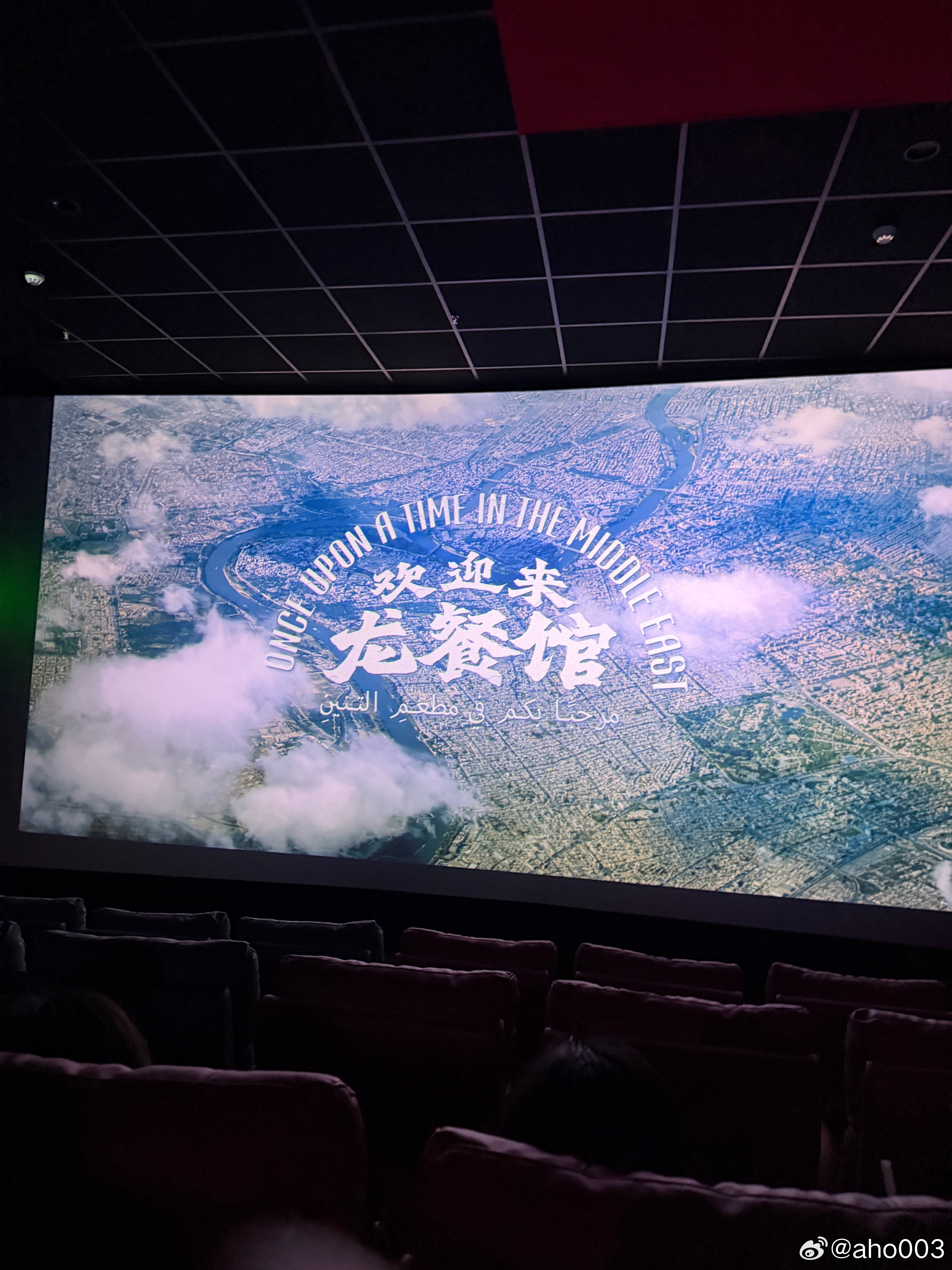 你沈叔叔这把冲着影帝去的