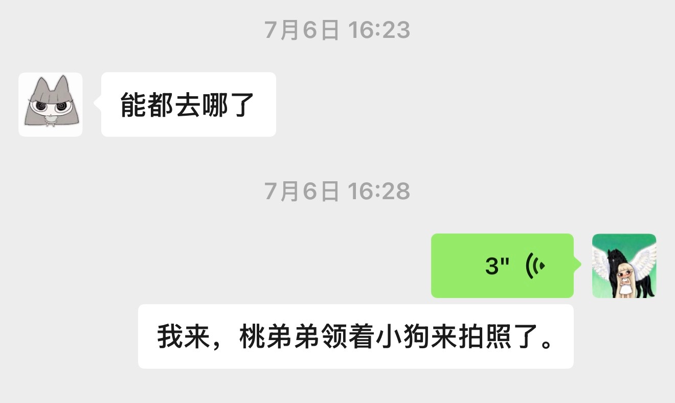 笑死我了你们看蛋和我聊天不是他亲人真看不懂他在说啥每一句都是错别字 ​​​