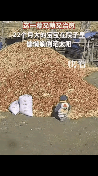 22 个月萌娃躺平苞米堆，秒变“退休老农”！网友破防：这才是顶级松弛感

在这个