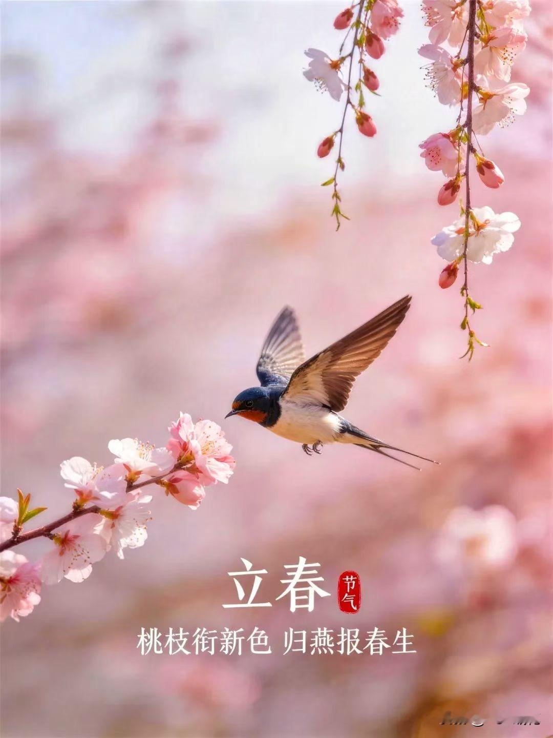 立春到啦！“没有一个冬天不可逾越，没有一个春天不会到来”！
  熬过寒冬，立春带