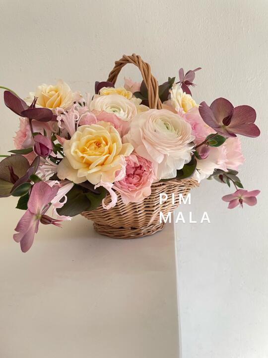 PIMMALA｜全新“菜篮子🧺”
