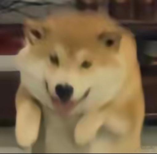 blg战胜hle 嘻嘻，嘻嘻，不嘻嘻，嘻嘻