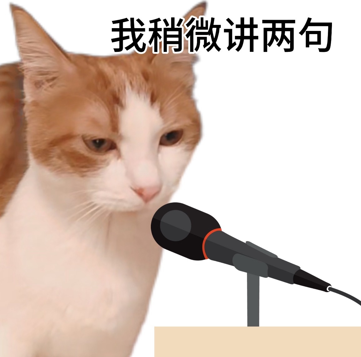 今晚两件事！宝宝们1️⃣一博*嘉实多网页链接【缺21.4万🧱，每人转10条】 