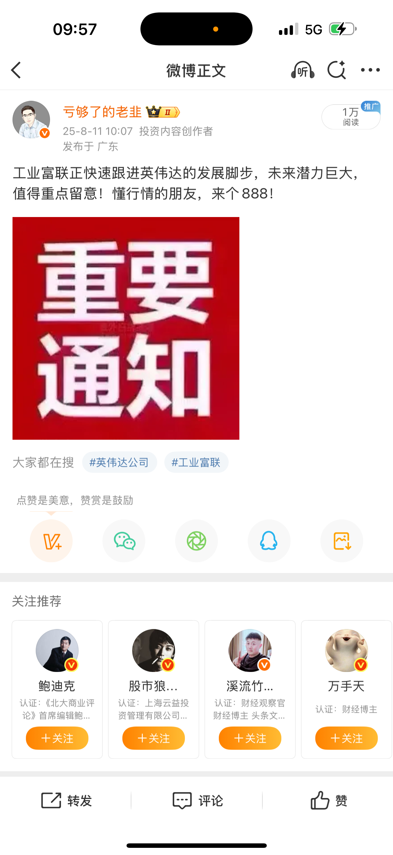 这只牛和英维克是一起的！送你们后也有23cm的大肉了！这样的老韭你们会喜欢吗？喜