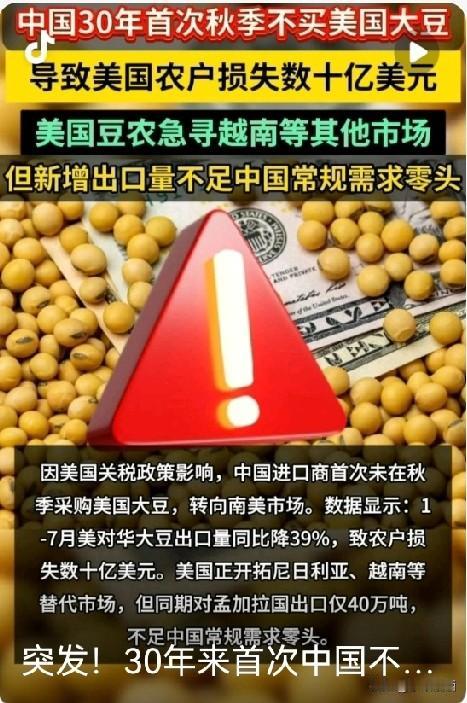 中国不买美国大豆
美国损失特别大
主要是这几点：

第一，卖不出去还亏钱：中国曾